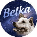 Belka BLK cryptocurrency Belka BLK cryptocurrency