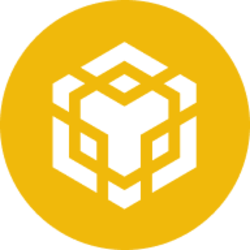 BNB BNB cryptocurrency