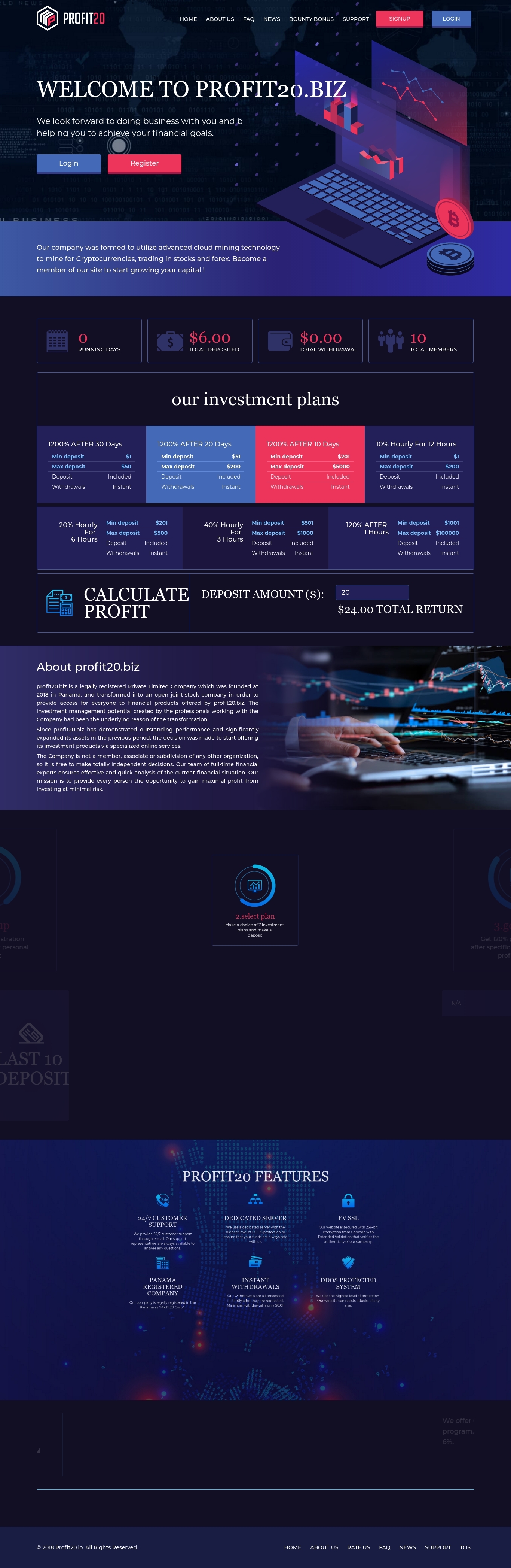 Investment project Profit 20