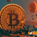 ‘I See Volatility as Opportunity’: Bitcoin Tests Critical Support as Key Level Hangs in the Balance
