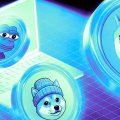 Meme Coin Dominance Falls to Two-Year Low as Holders Vanish