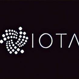 Nowy chip do transakcji IOTA w sieci