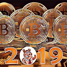 Is It Worth Buying Bitcoin in 2019?