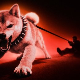 Czy Shiba Inu (SHIB) jest martwy? Dane on-chain pokazują smutną rzeczywistość