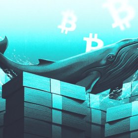 3 Altcoins Crypto Whales Are Buying Ahead of July 2026