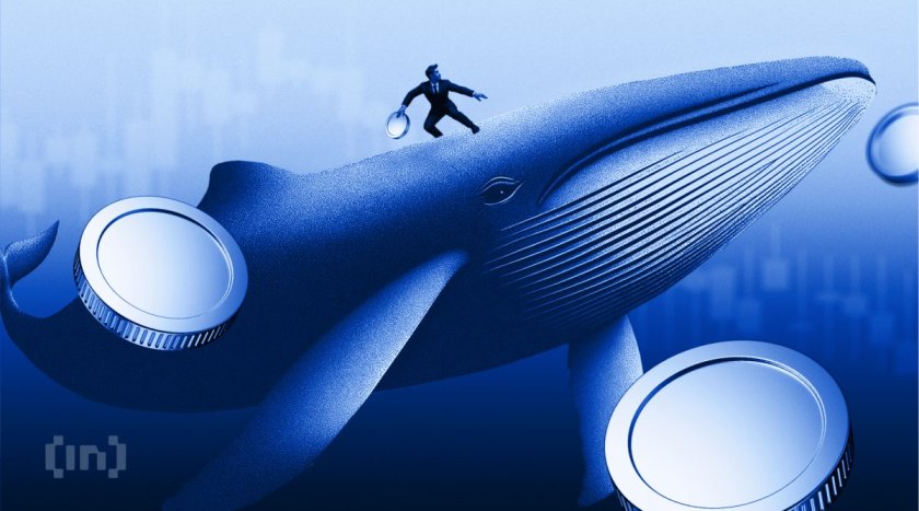 UNI Price Sinks 18% While Whales and Exchanges Move Opposite Ways