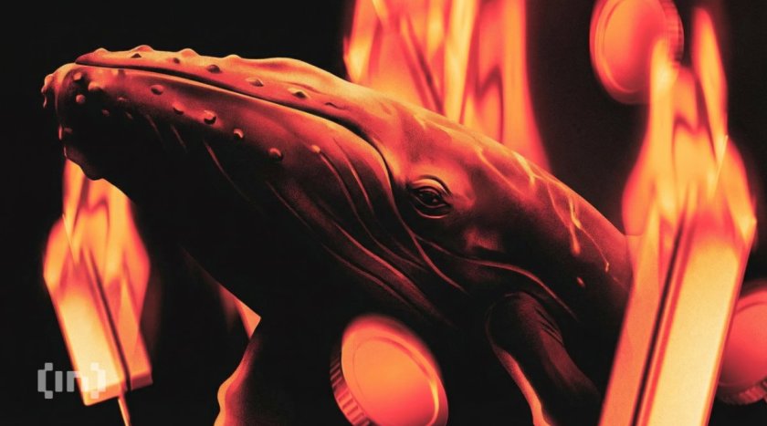 Machi Big Brother Sits $150M Long With Two of Three Assets Down
